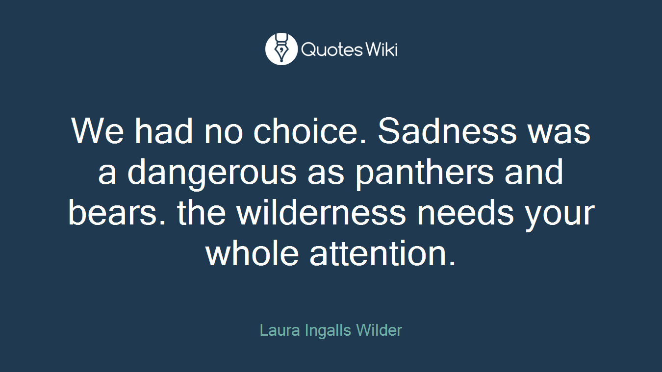 We had no choice. Sadness was a dangerous as panthers and bears. the wilderness needs your whole attention.