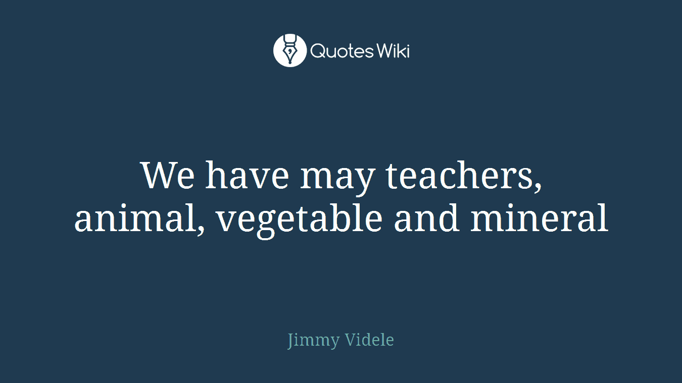 We have may teachers, animal, vegetable and mineral