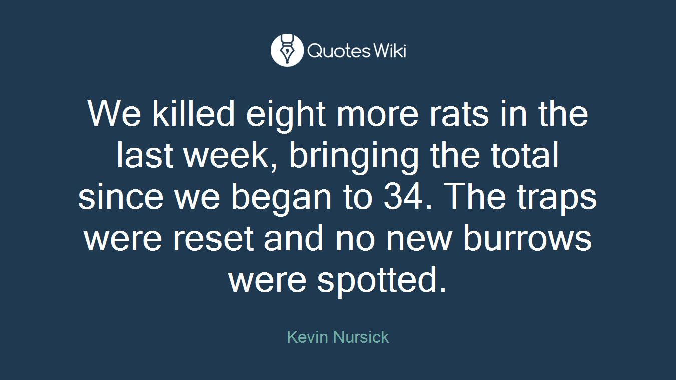 We killed eight more rats in the last week, bringing the total since we began to 34. The traps were reset and no new burrows were spotted.
