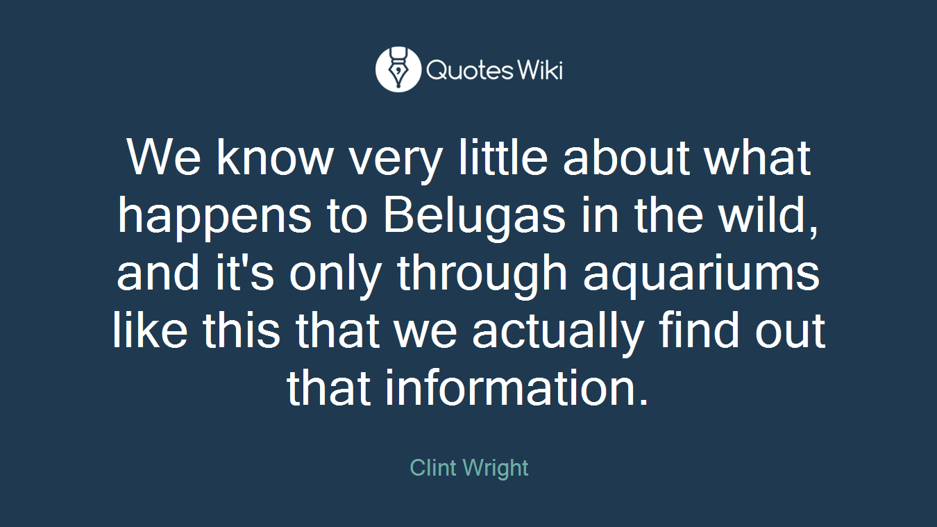 We know very little about what happens to Belugas in the wild, and it's only through aquariums like this that we actually find out that information.