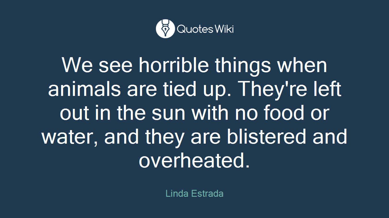 We see horrible things when animals are tied up. They're left out in the sun with no food or water, and they are blistered and overheated.