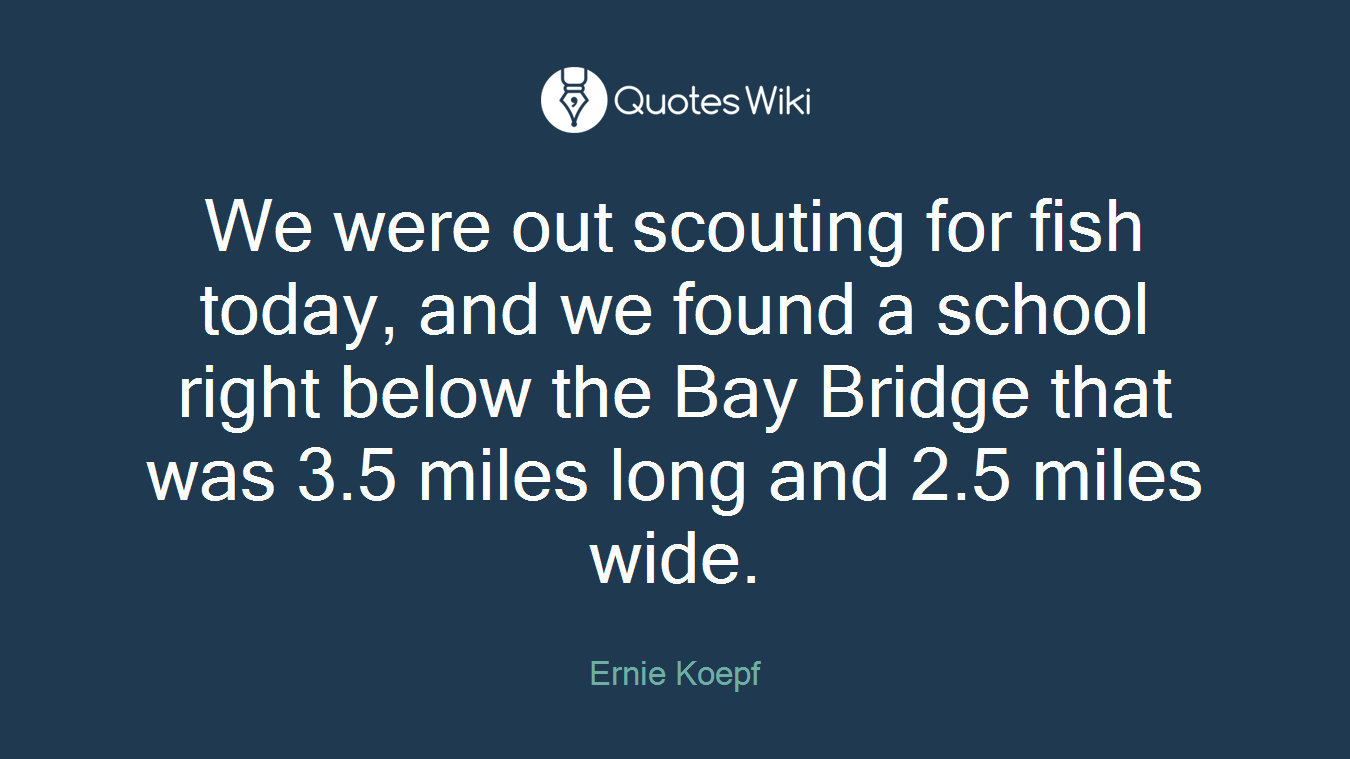 We were out scouting for fish today, and we found a school right below the Bay Bridge that was 3.5 miles long and 2.5 miles wide.