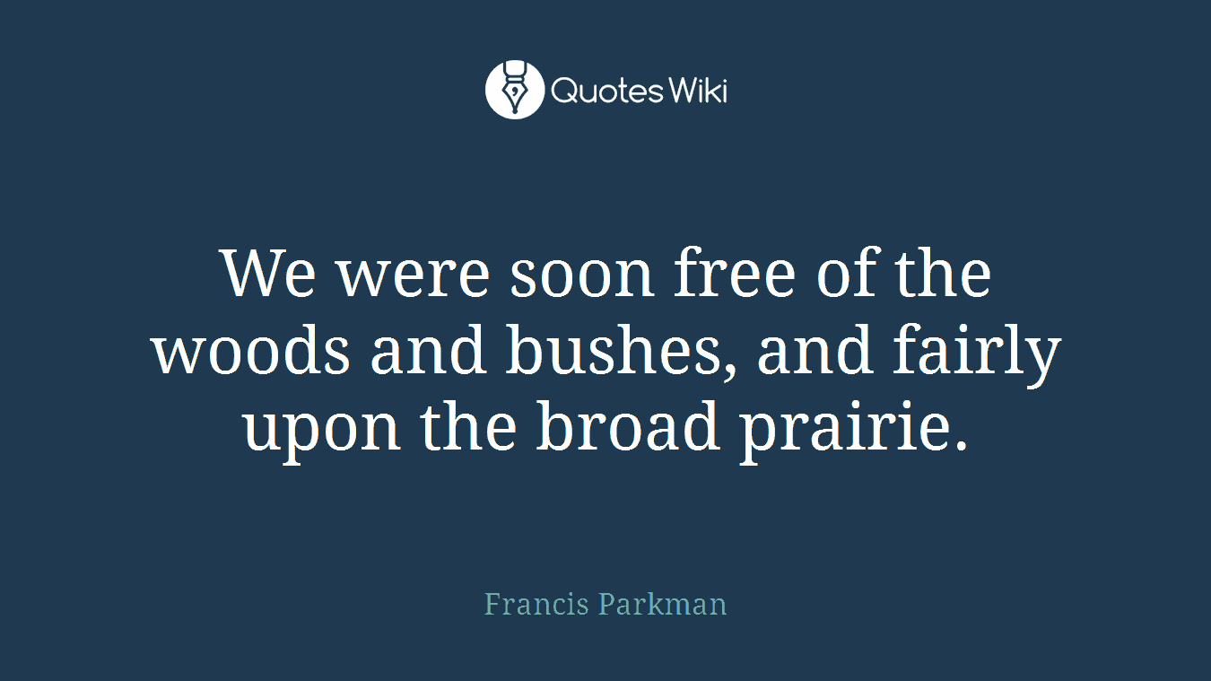 We were soon free of the woods and bushes, and fairly upon the broad prairie.