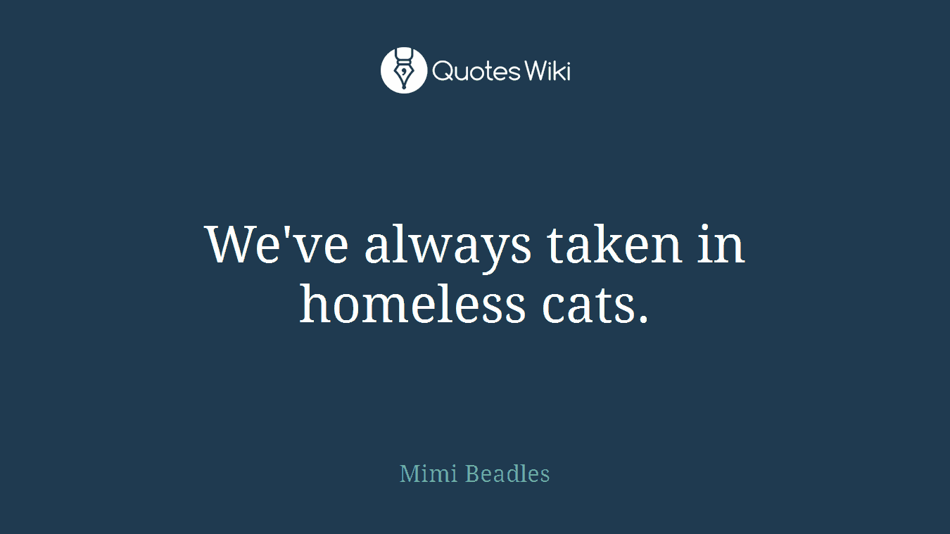 We've always taken in homeless cats.