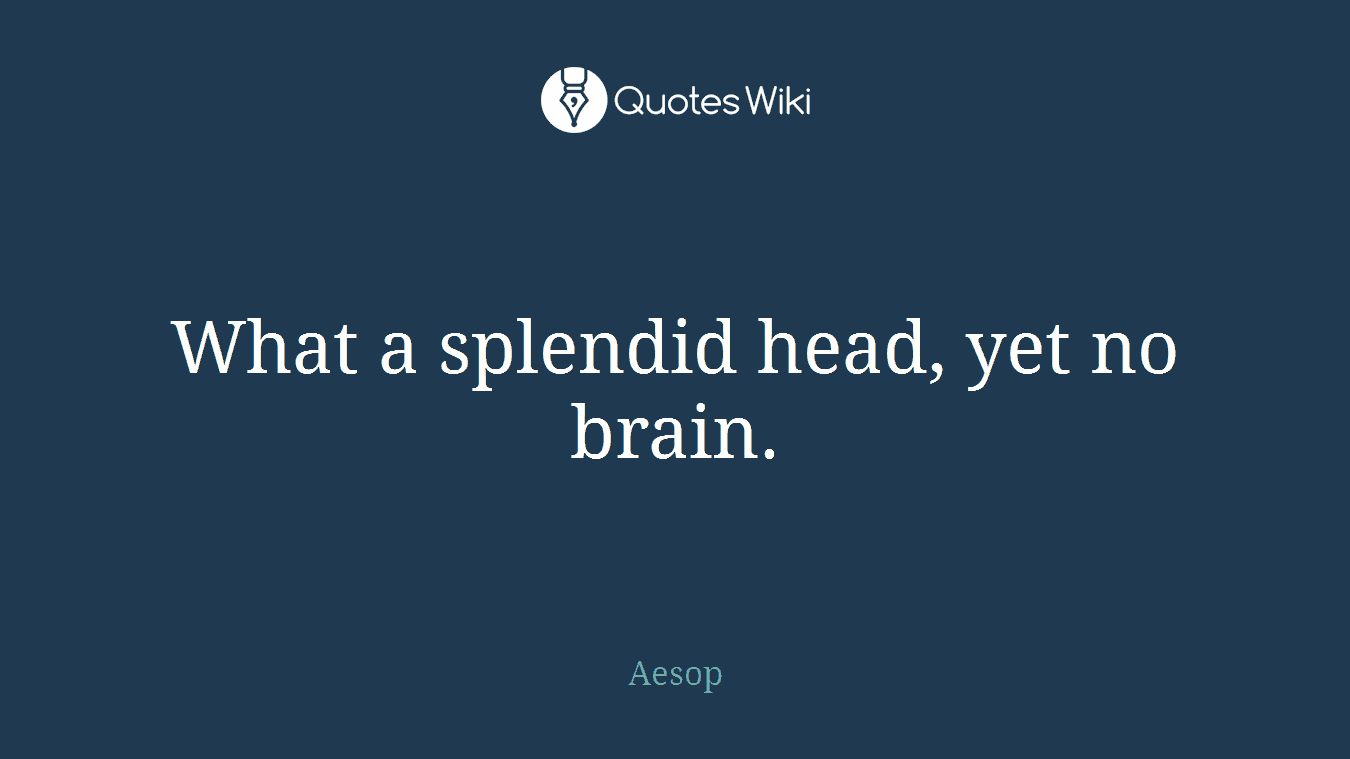 What a splendid head, yet no brain.