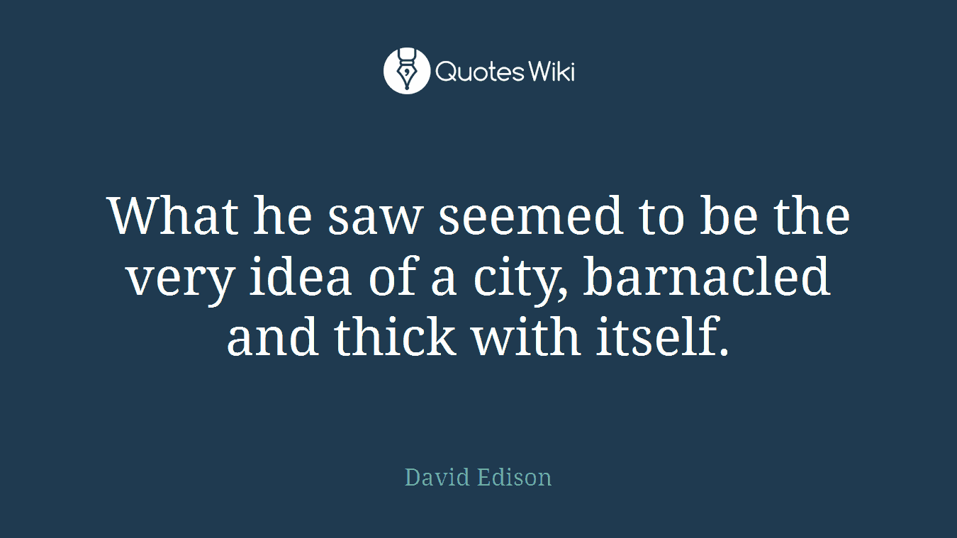 What he saw seemed to be the very idea of a city, barnacled and thick with itself.