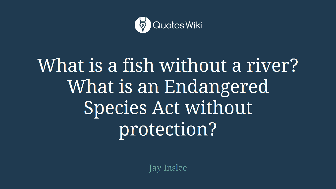 What is a fish without a river? What is an Endangered Species Act without protection?