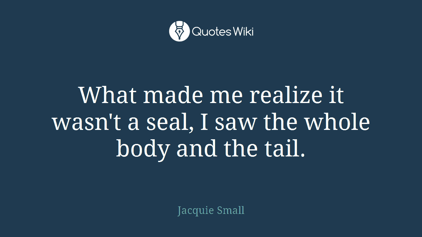 What made me realize it wasn't a seal, I saw the whole body and the tail.