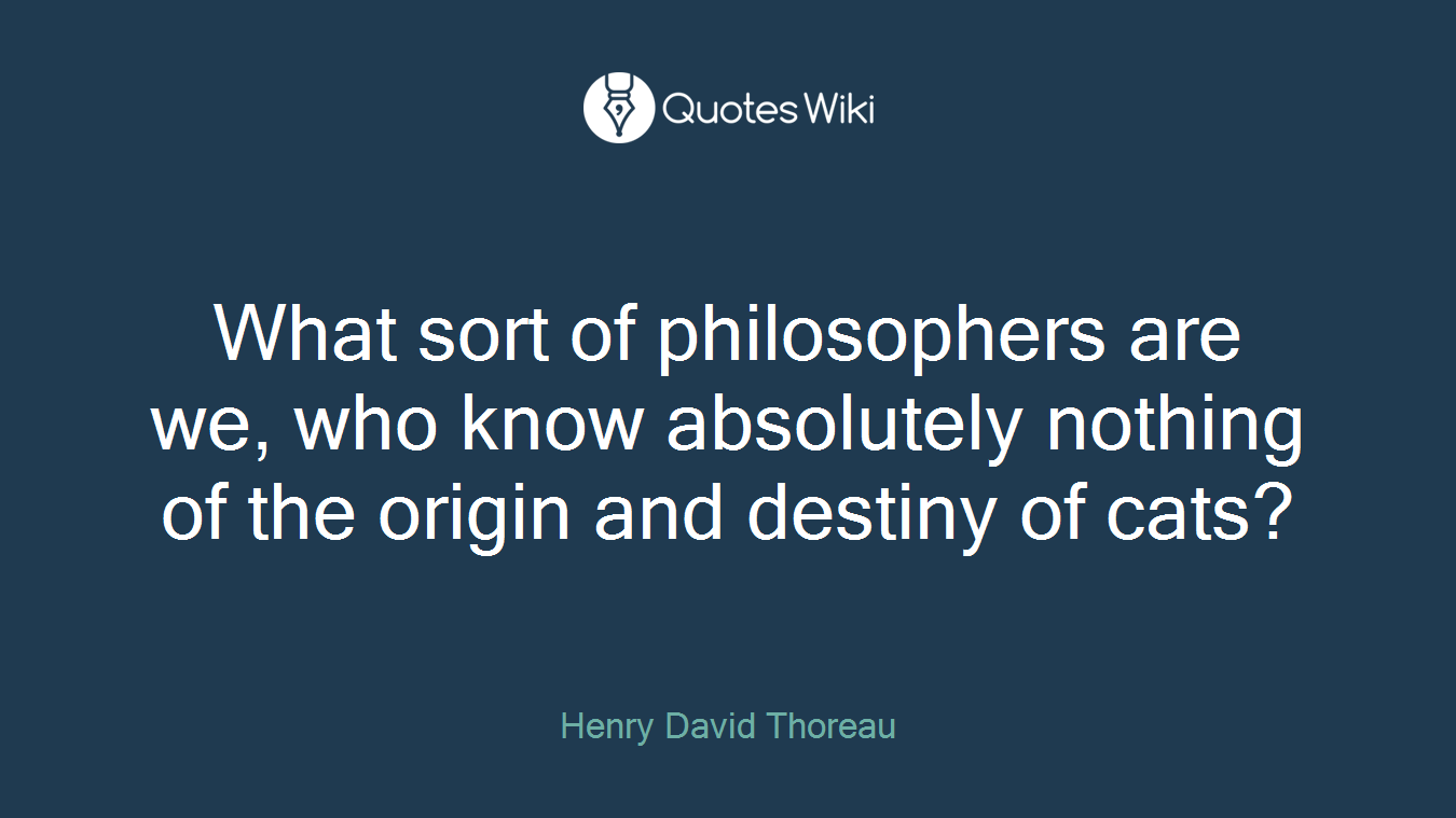 What sort of philosophers are we, who know absolutely nothing of the origin and destiny of cats?