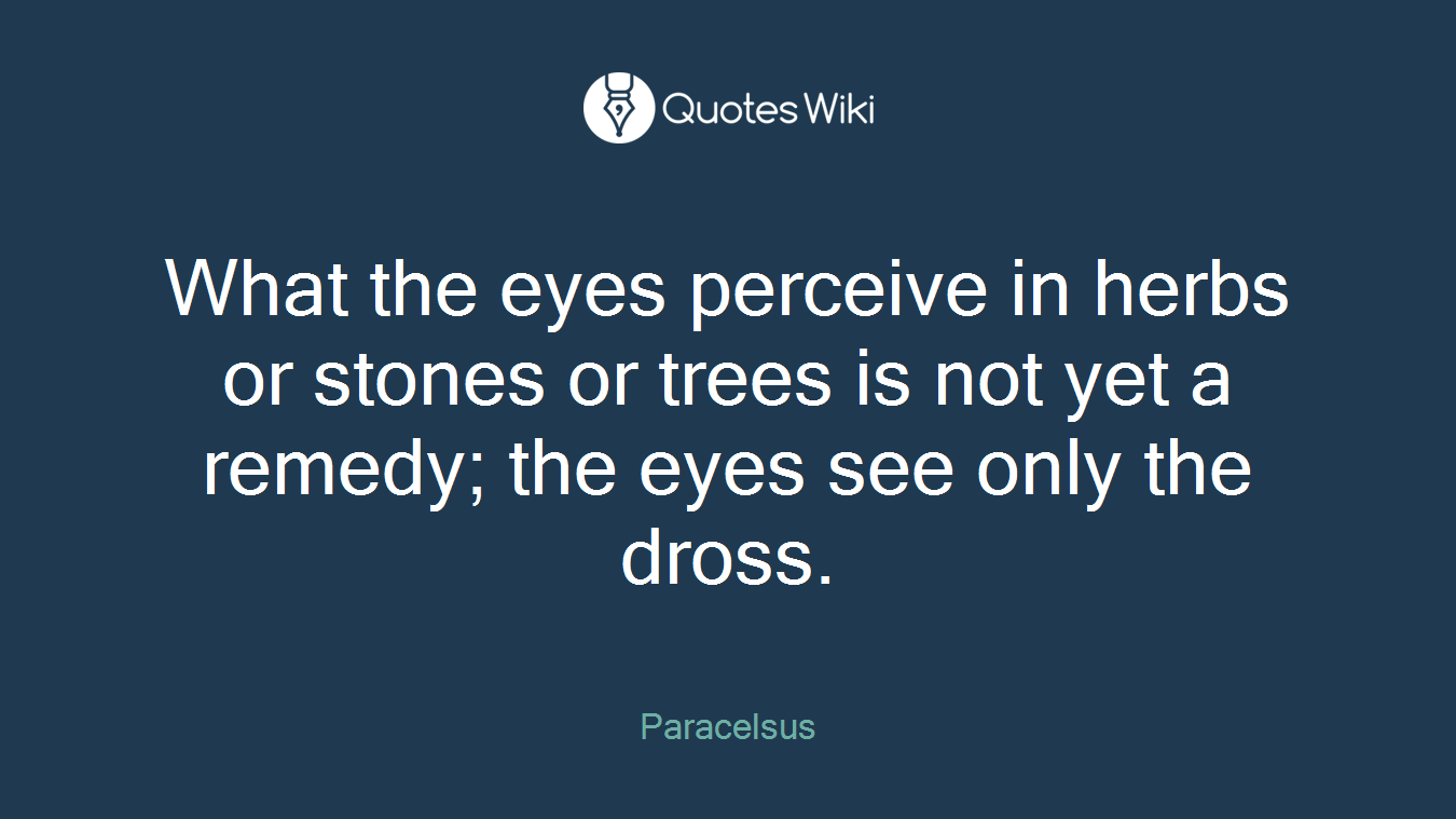What the eyes perceive in herbs or stones or trees is not yet a remedy; the eyes see only the dross.