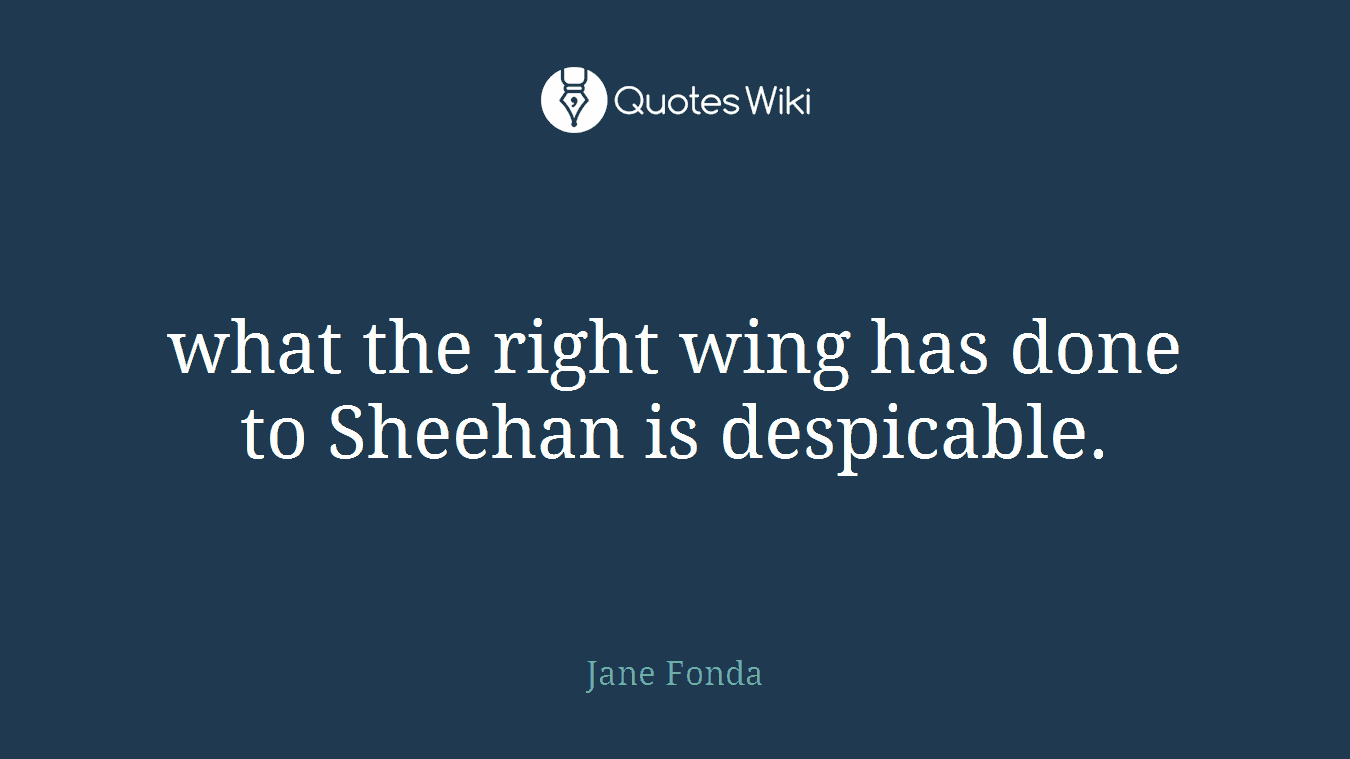 what the right wing has done to Sheehan is despicable.