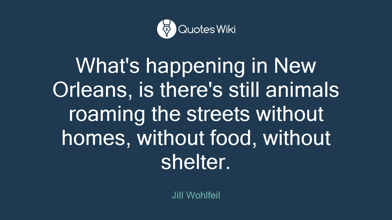 What's happening in New Orleans, is there's still animals roaming the streets without homes, without food, without shelter.