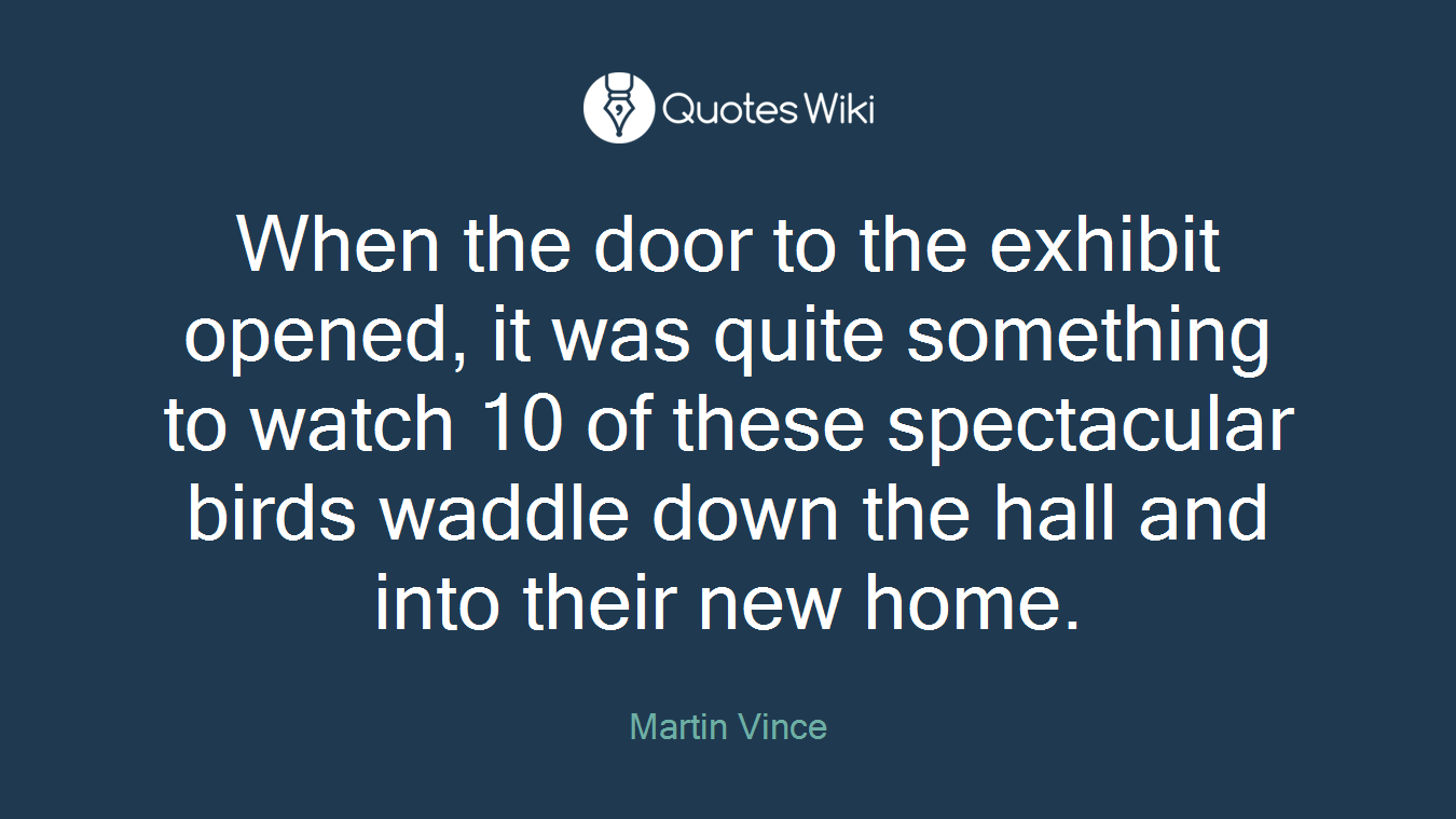 When the door to the exhibit opened, it was quite something to watch 10 of these spectacular birds waddle down the hall and into their new home.