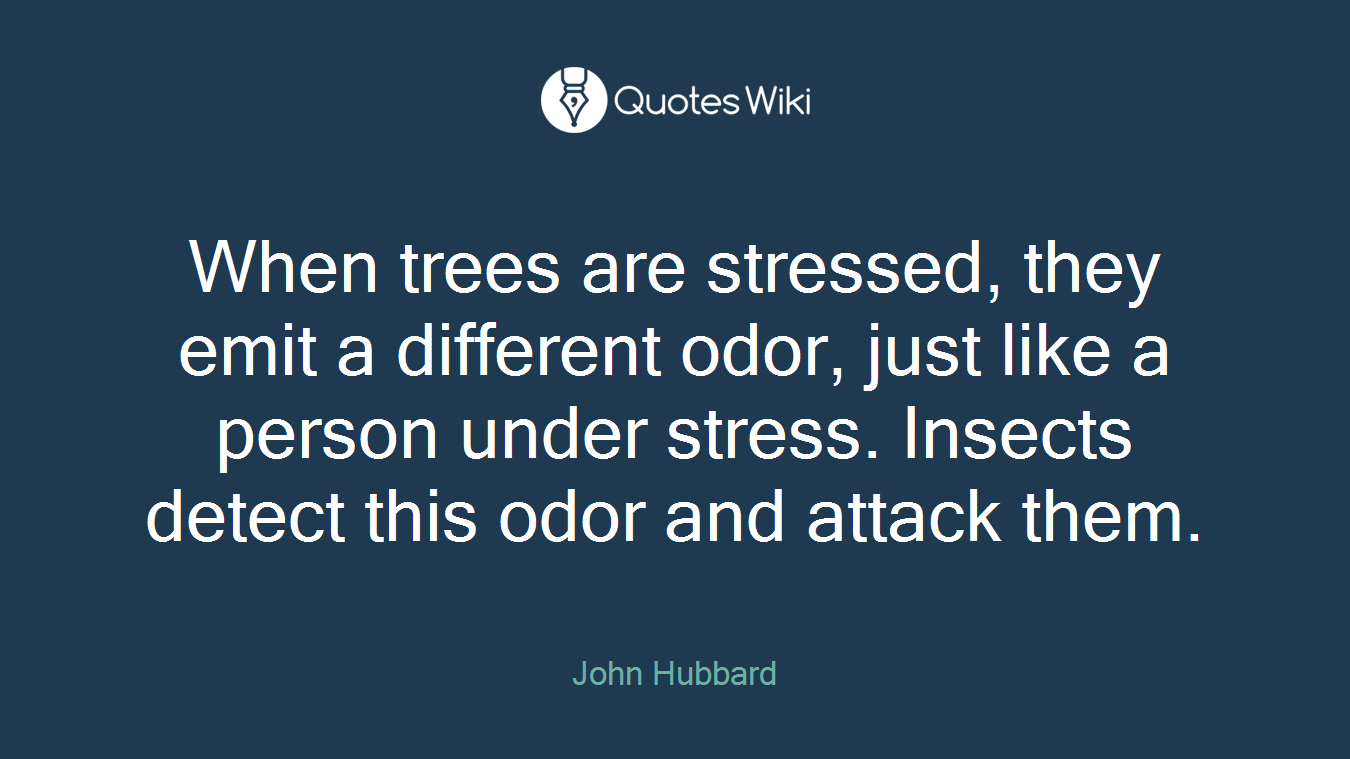 When trees are stressed, they emit a different odor, just like a person under stress. Insects detect this odor and attack them.