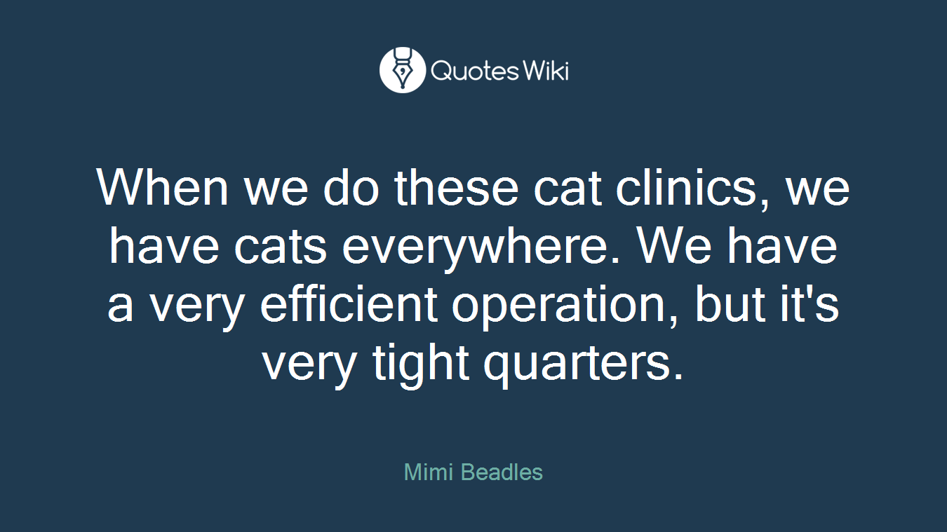 When we do these cat clinics, we have cats everywhere. We have a very efficient operation, but it's very tight quarters.