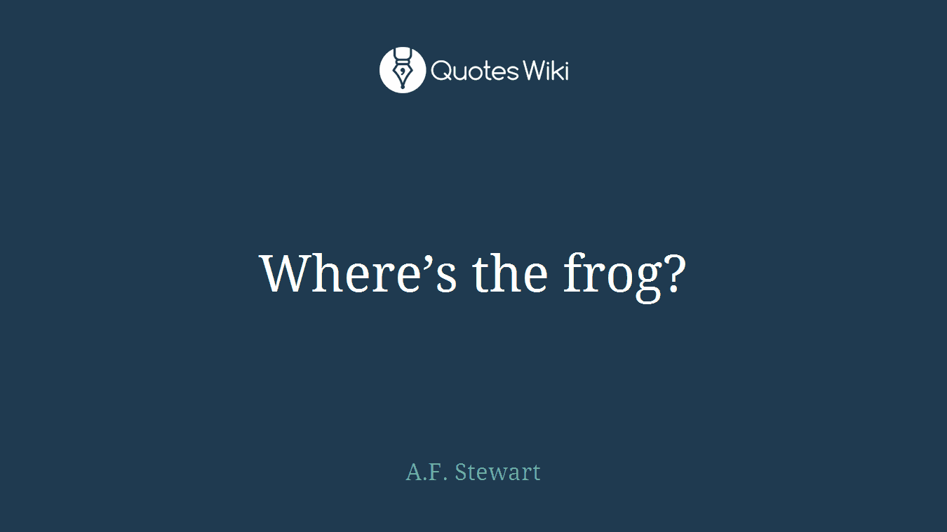 Where’s the frog?