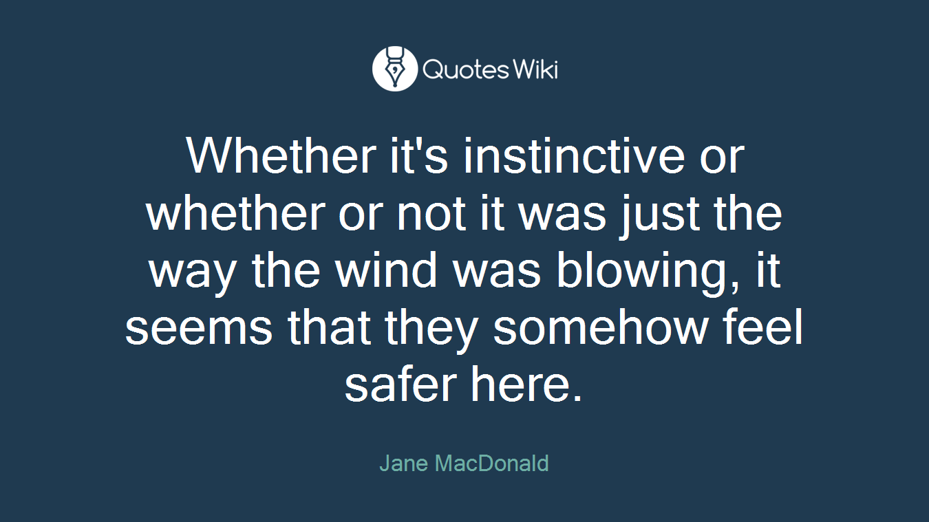 Whether it's instinctive or whether or not it was just the way the wind was blowing, it seems that they somehow feel safer here.