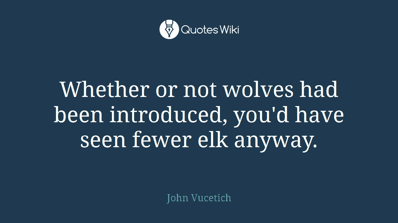 Whether or not wolves had been introduced, you'd have seen fewer elk anyway.