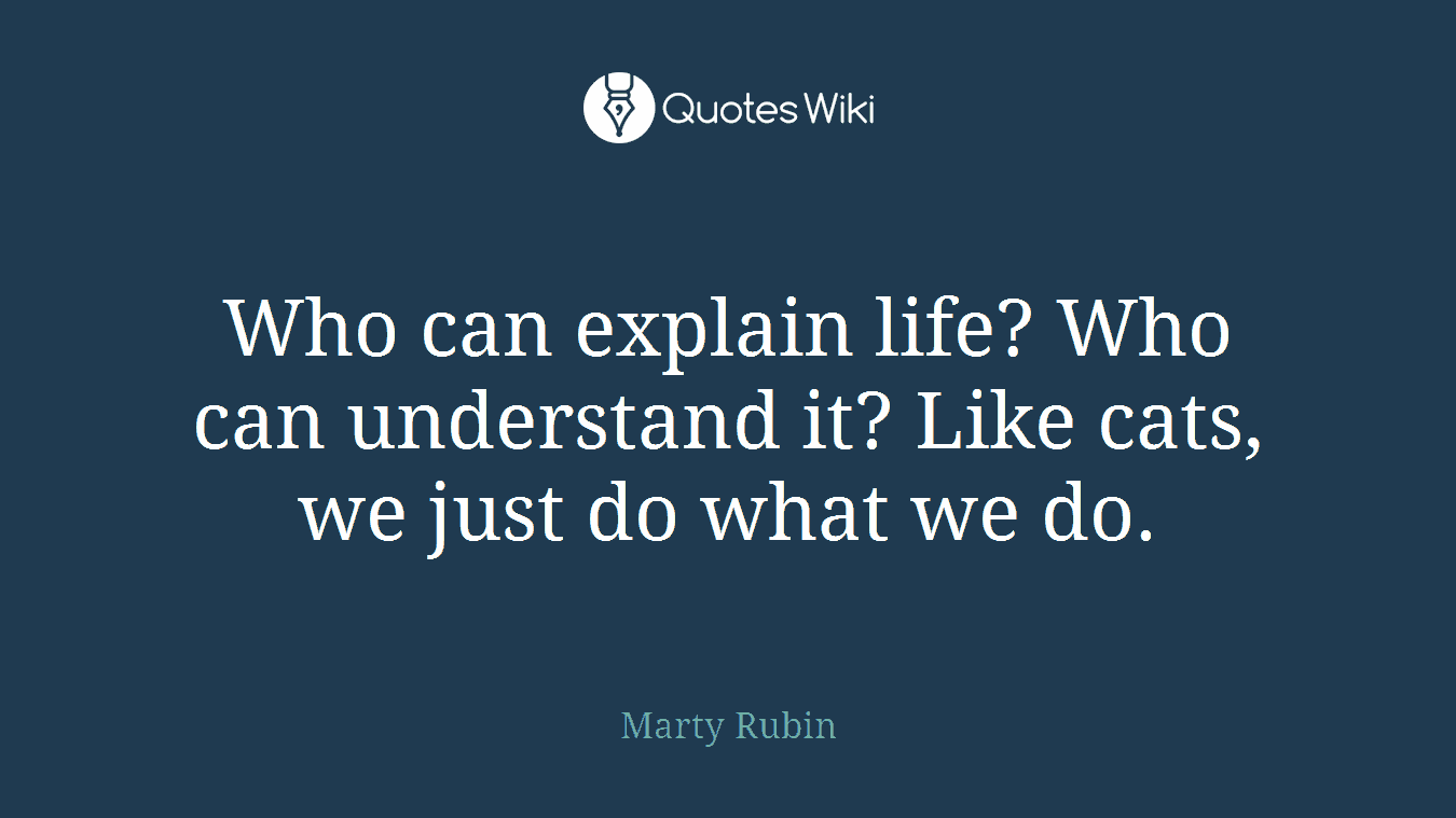 Who can explain life? Who can understand it? Like cats, we just do what we do.