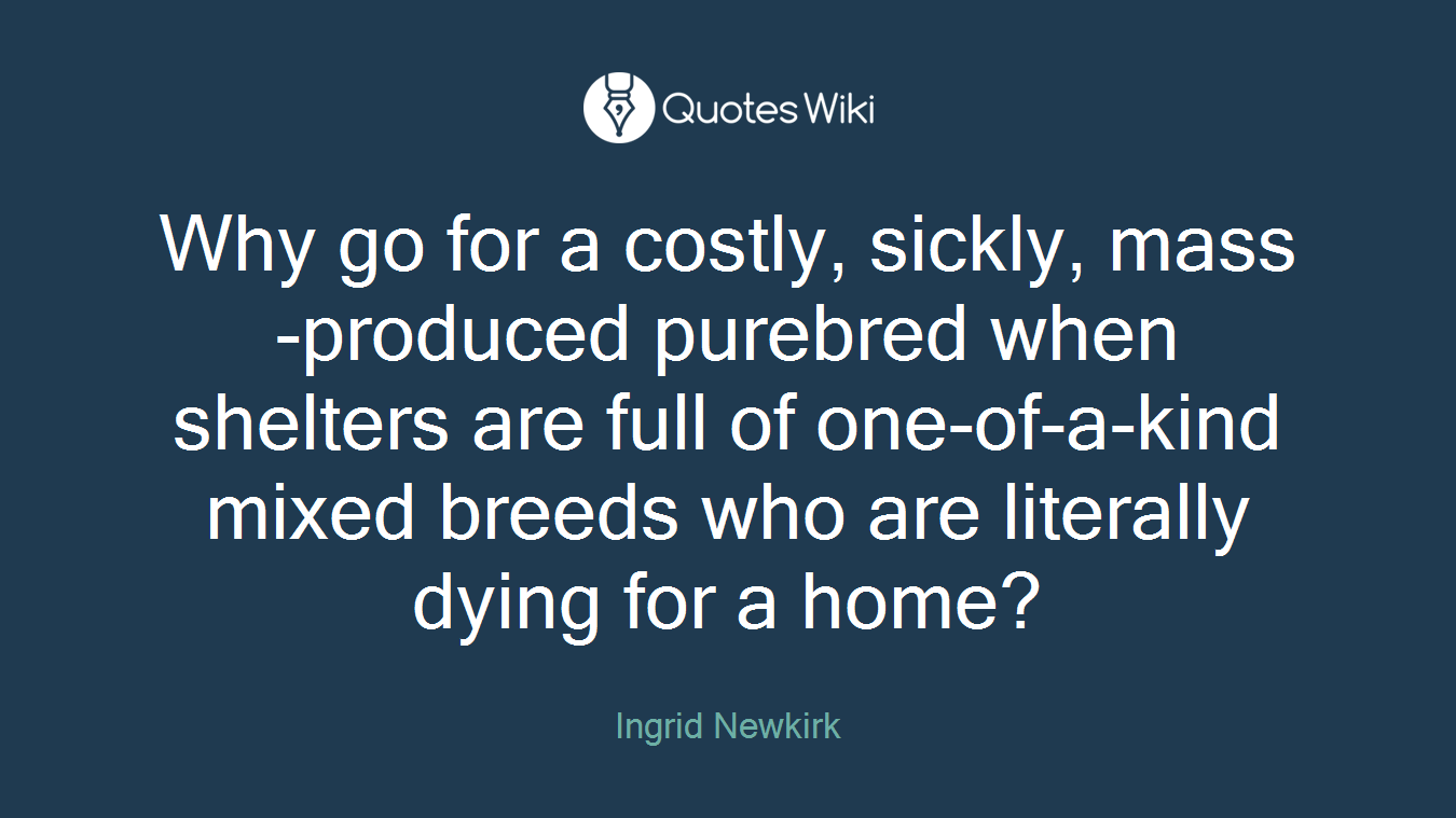 Why go for a costly, sickly, mass-produced purebred when shelters are full of one-of-a-kind mixed breeds who are literally dying for a home?