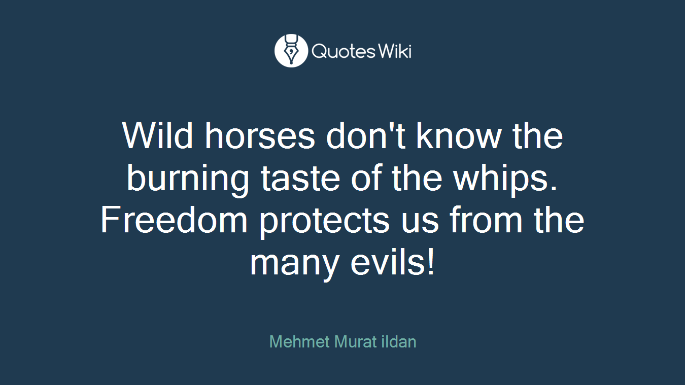 Wild horses don't know the burning taste of the whips. Freedom protects us from the many evils!