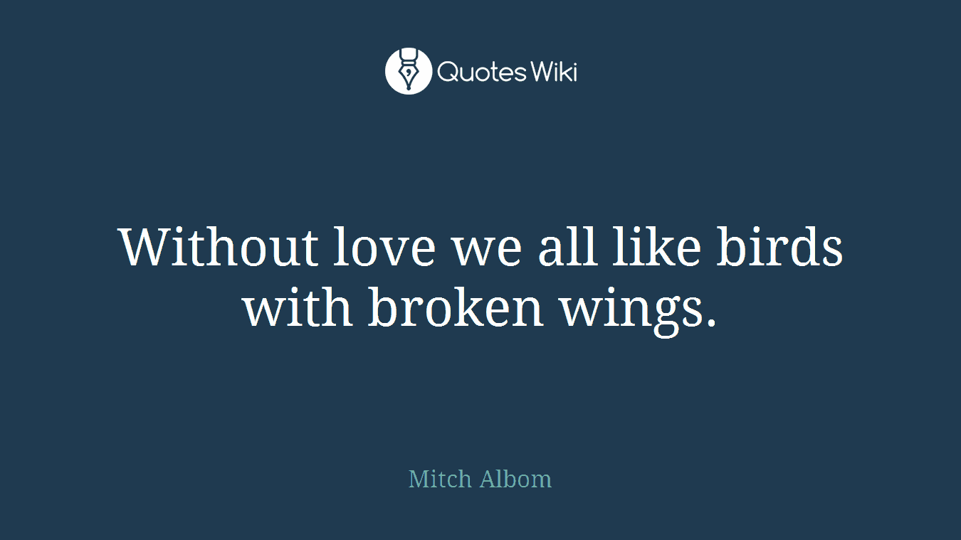 Without love we all like birds with broken wings.