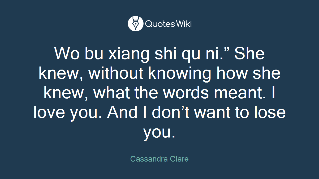 Wo bu xiang shi qu ni.” She knew, without knowing how she knew, what the words meant. I love you. And I don’t want to lose you.