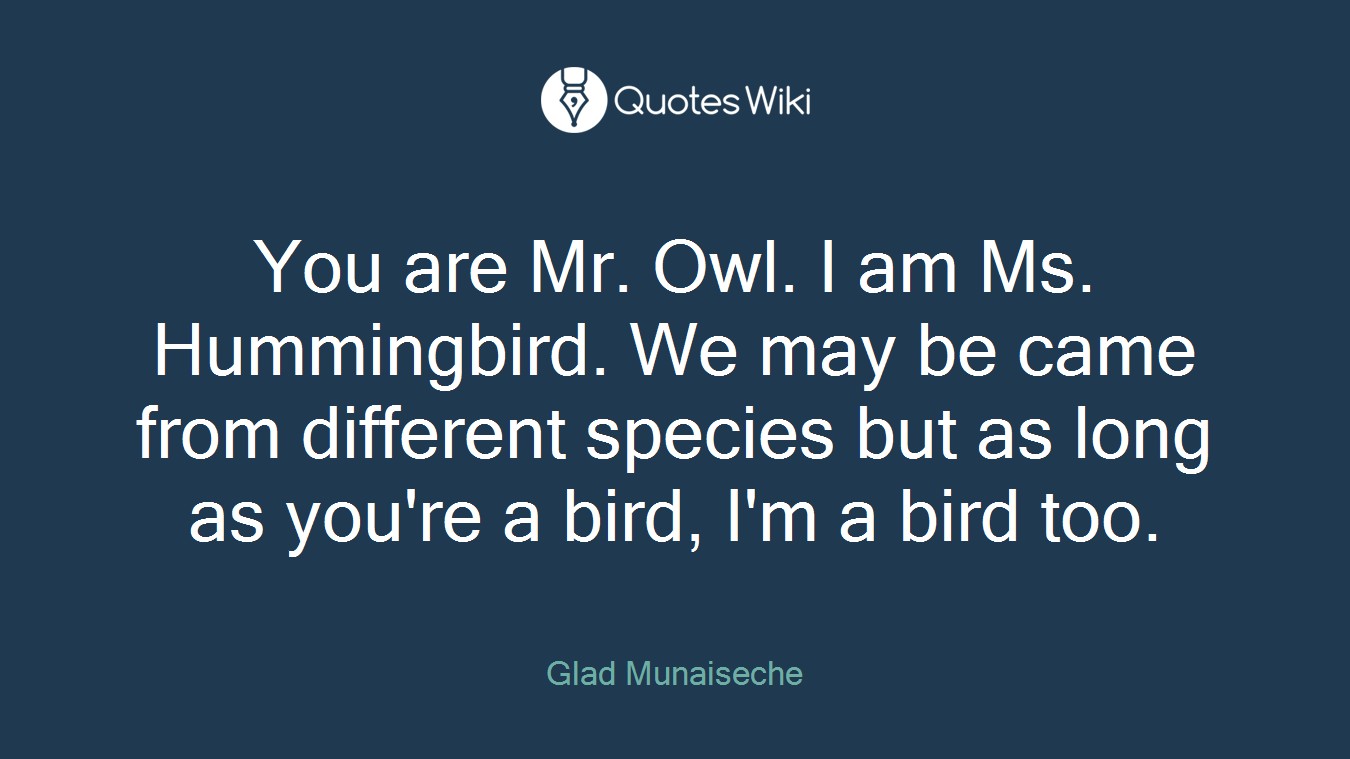 You are Mr. Owl. I am Ms. Hummingbird. We may be came from different species but as long as you're a bird, I'm a bird too.
