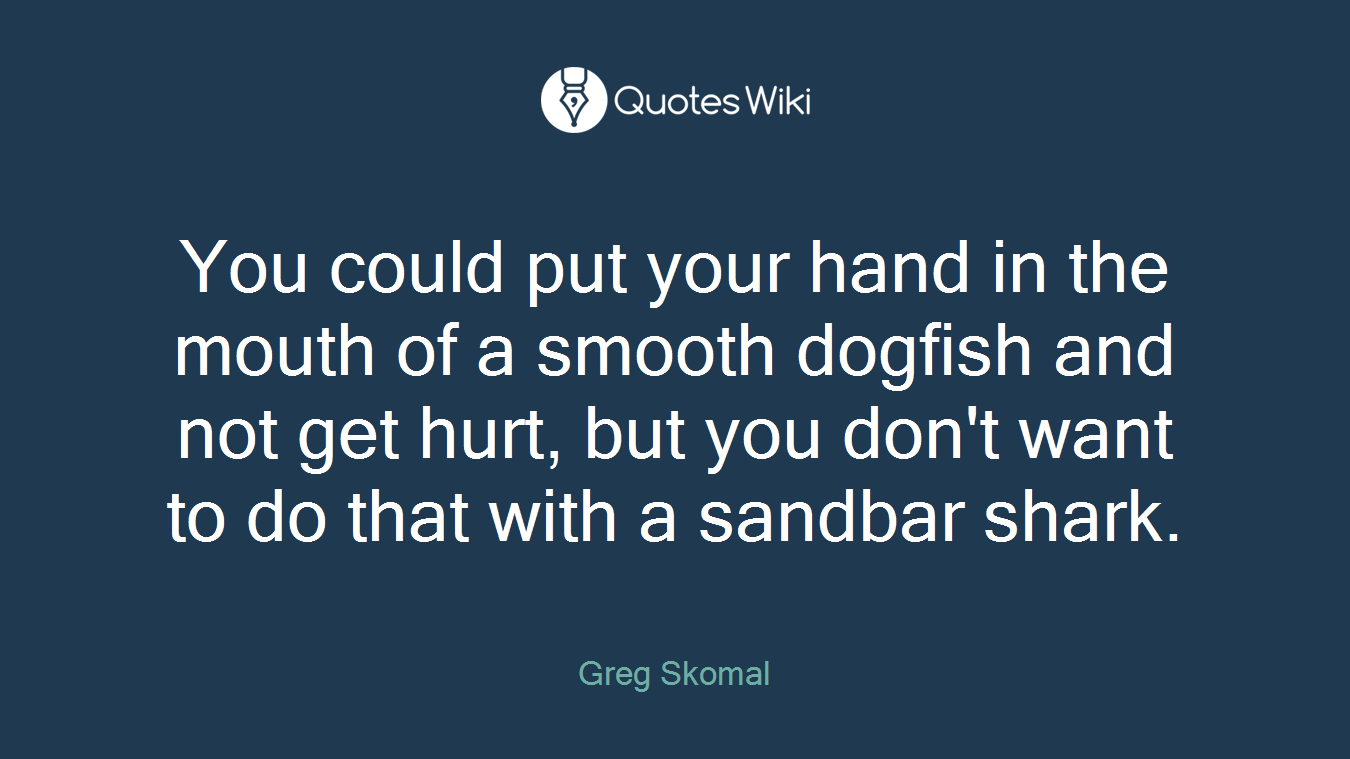 You could put your hand in the mouth of a smooth dogfish and not get hurt, but you don't want to do that with a sandbar shark.