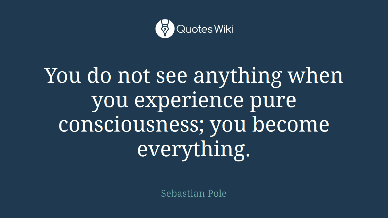 You do not see anything when you experience pure consciousness; you become everything.