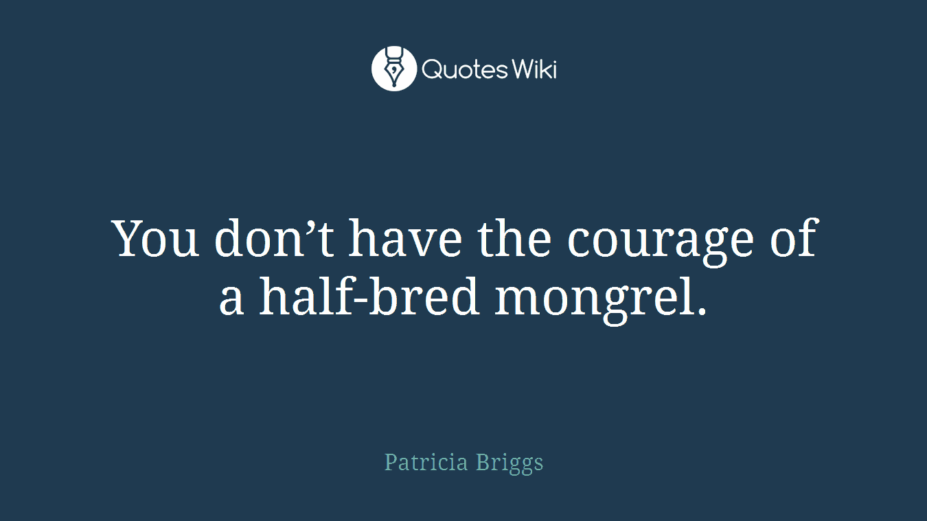 You don’t have the courage of a half-bred mongrel.