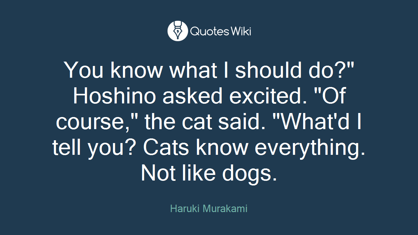 You know what I should do?" Hoshino asked excited. "Of course," the cat said. "What'd I tell you? Cats know everything. Not like dogs.