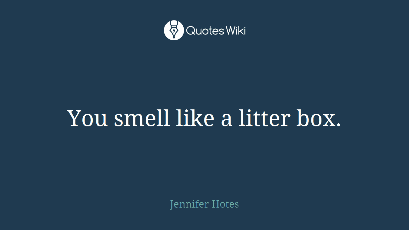 You smell like a litter box.