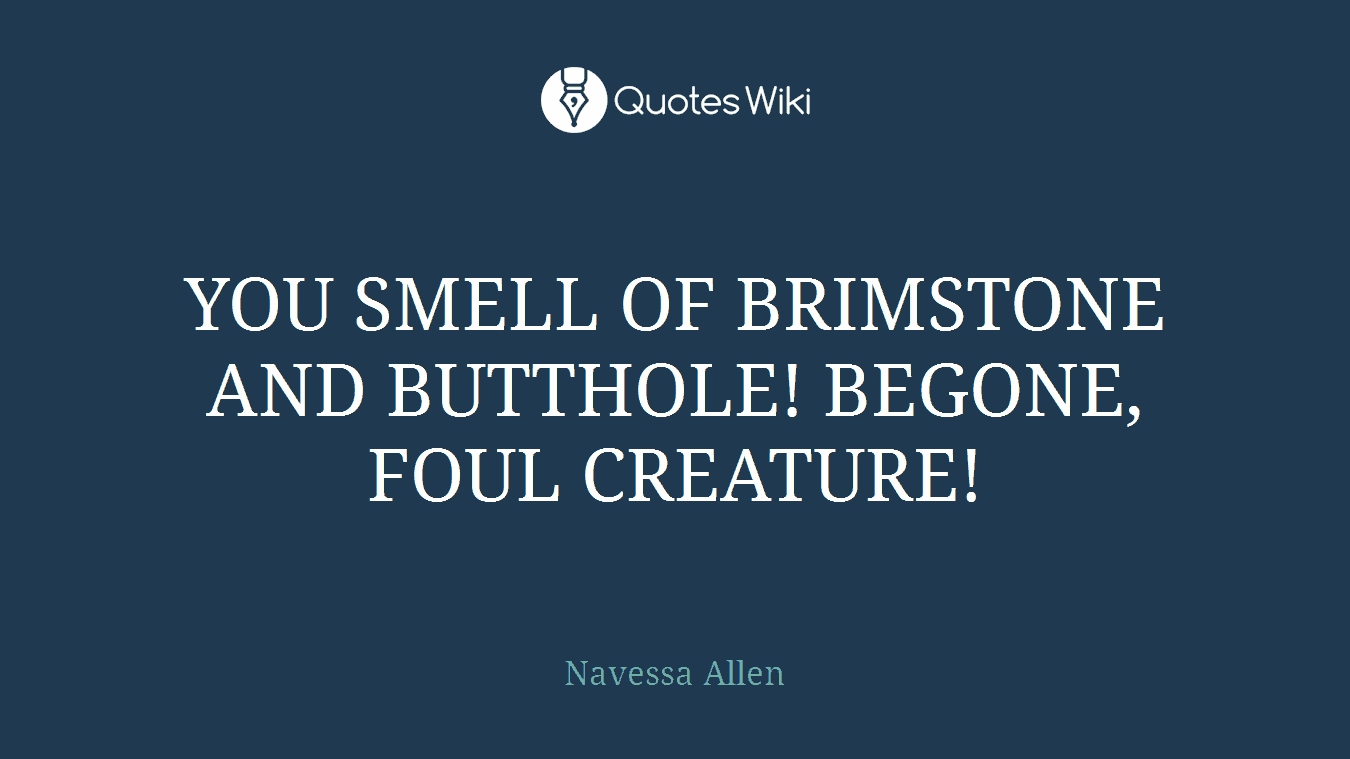 YOU SMELL OF BRIMSTONE AND BUTTHOLE! BEGONE, FOUL CREATURE!