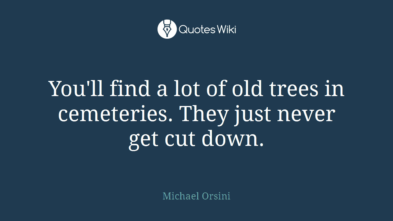 You'll find a lot of old trees in cemeteries. They just never get cut down.