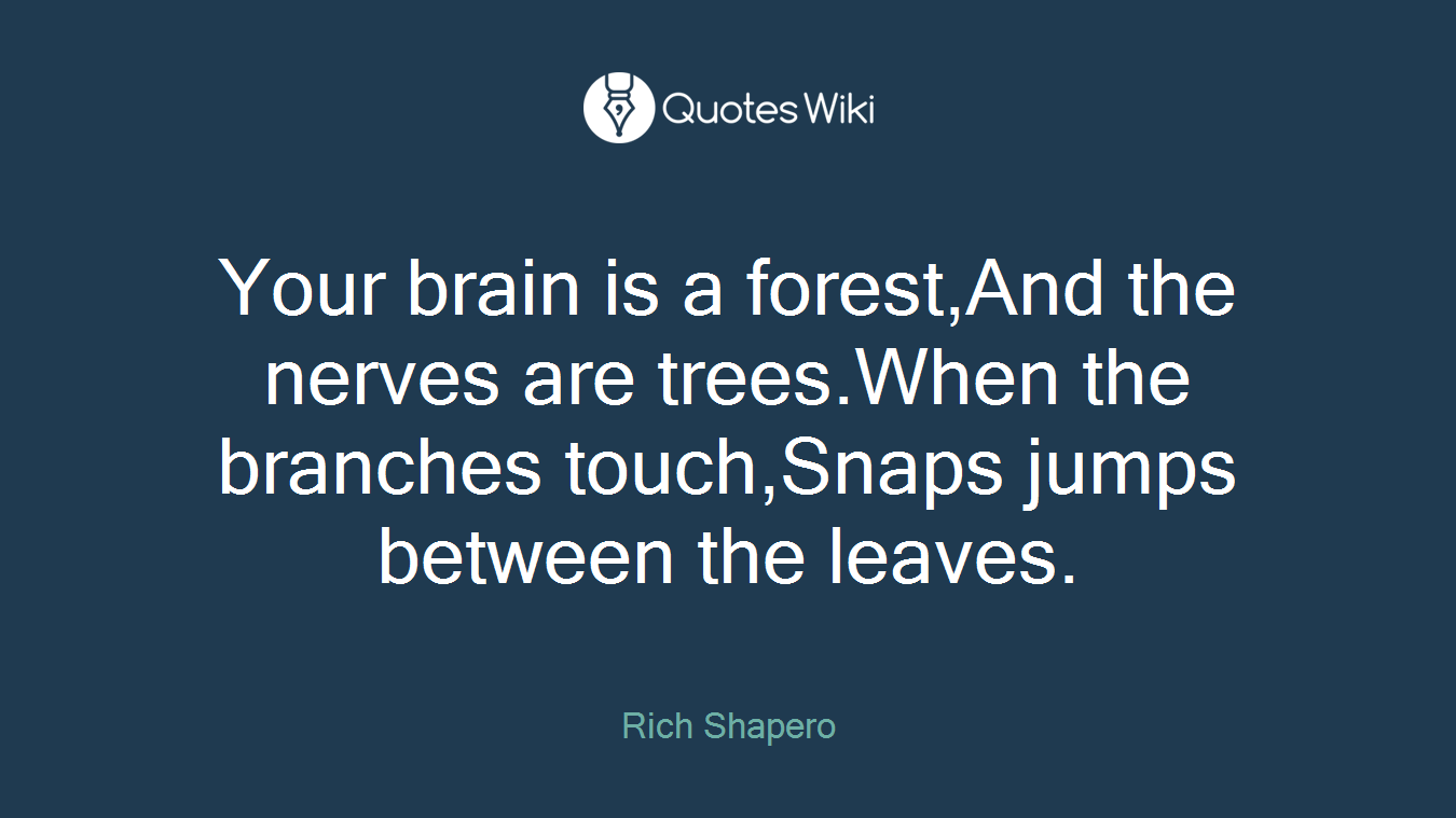 Your brain is a forest,And the nerves are trees.When the branches touch,Snaps jumps between the leaves.