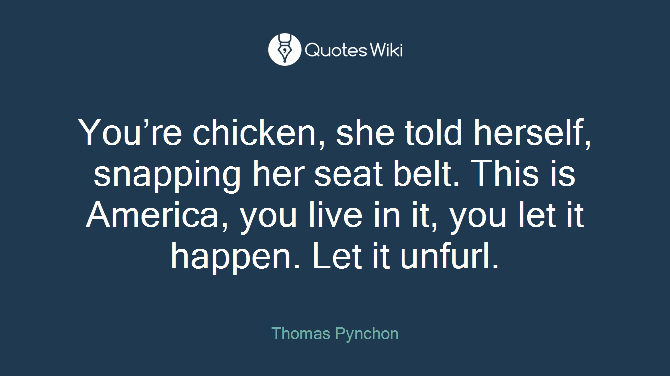 You’re chicken, she told herself, snapping her seat belt. This is America, you live in it, you let it happen. Let it unfurl.