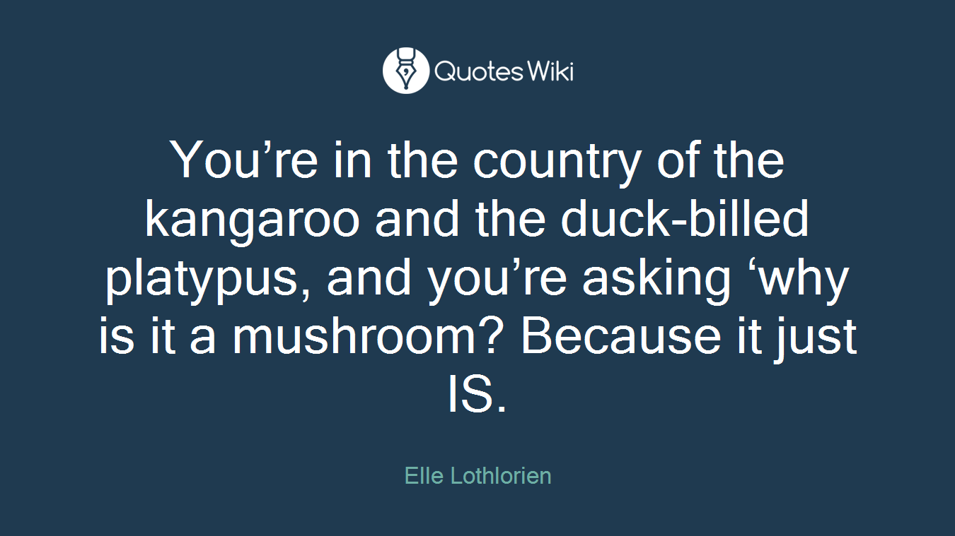 You’re in the country of the kangaroo and the duck-billed platypus, and you’re asking ‘why is it a mushroom? Because it just IS.