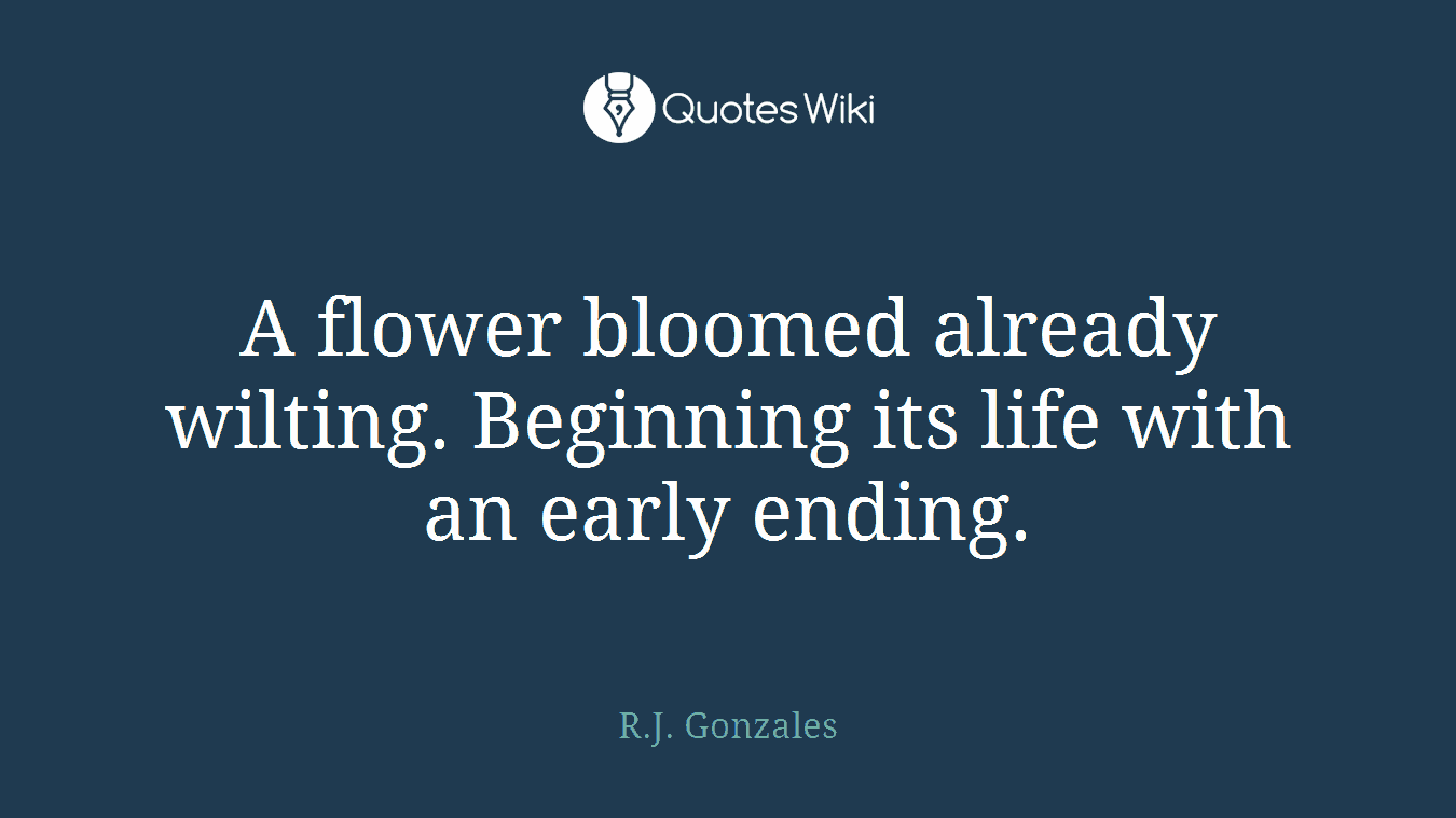 A flower bloomed already wilting. Beginning its life with an early ending.