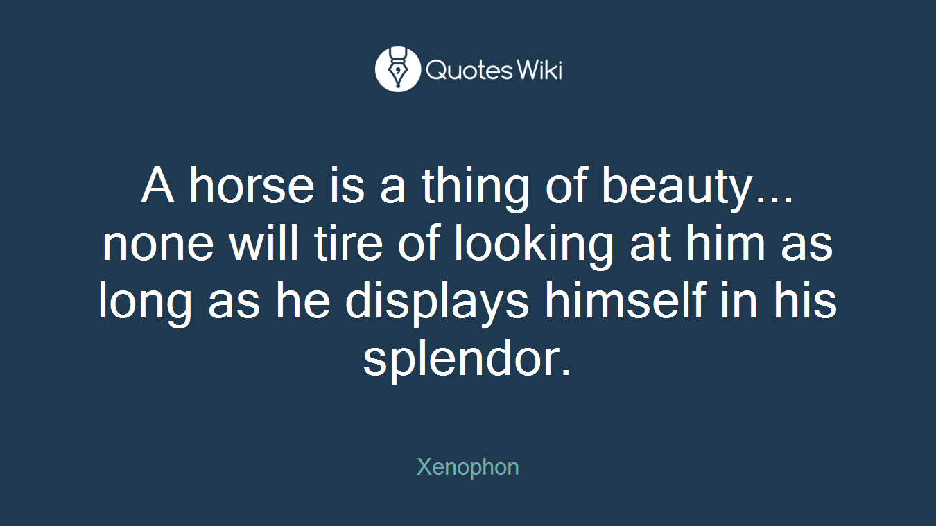A horse is a thing of beauty... none will tire of looking at him as long as he displays himself in his splendor.