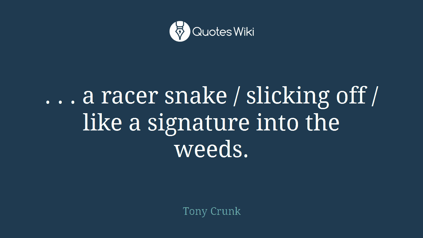 . . . a racer snake / slicking off / like a signature into the weeds.