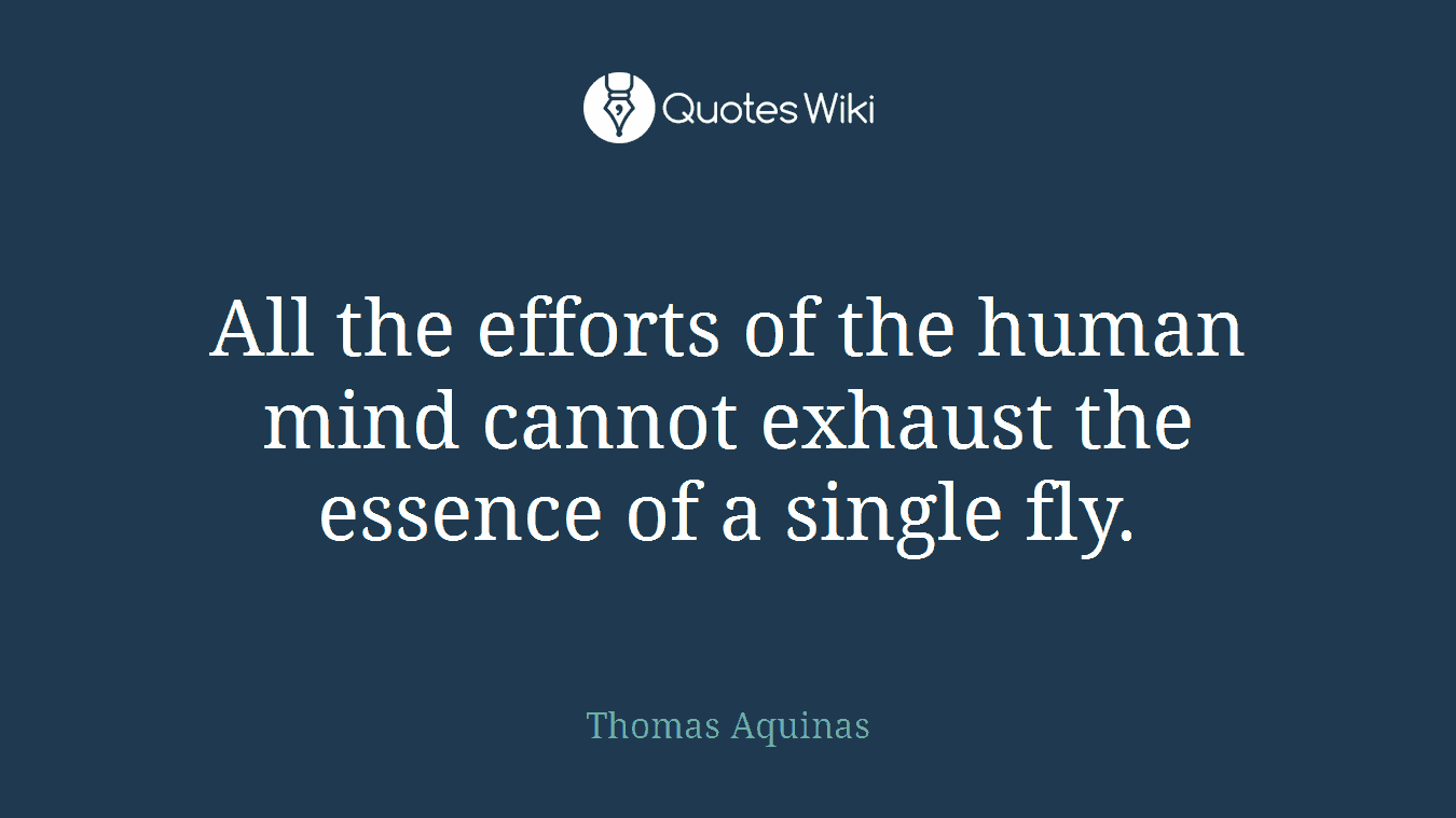 All the efforts of the human mind cannot exhaust the essence of a single fly.
