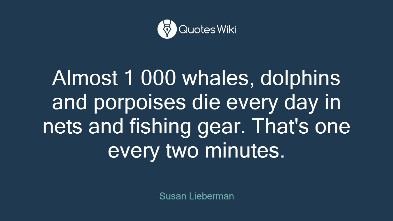 Almost 1 000 whales, dolphins and porpoises die every day in nets and fishing gear. That's one every two minutes.