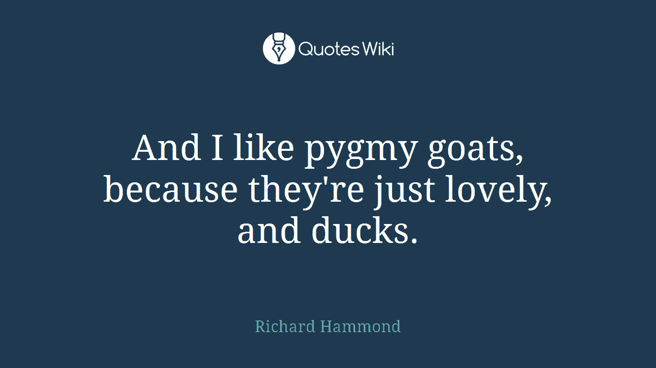 And I like pygmy goats, because they're just lovely, and ducks.