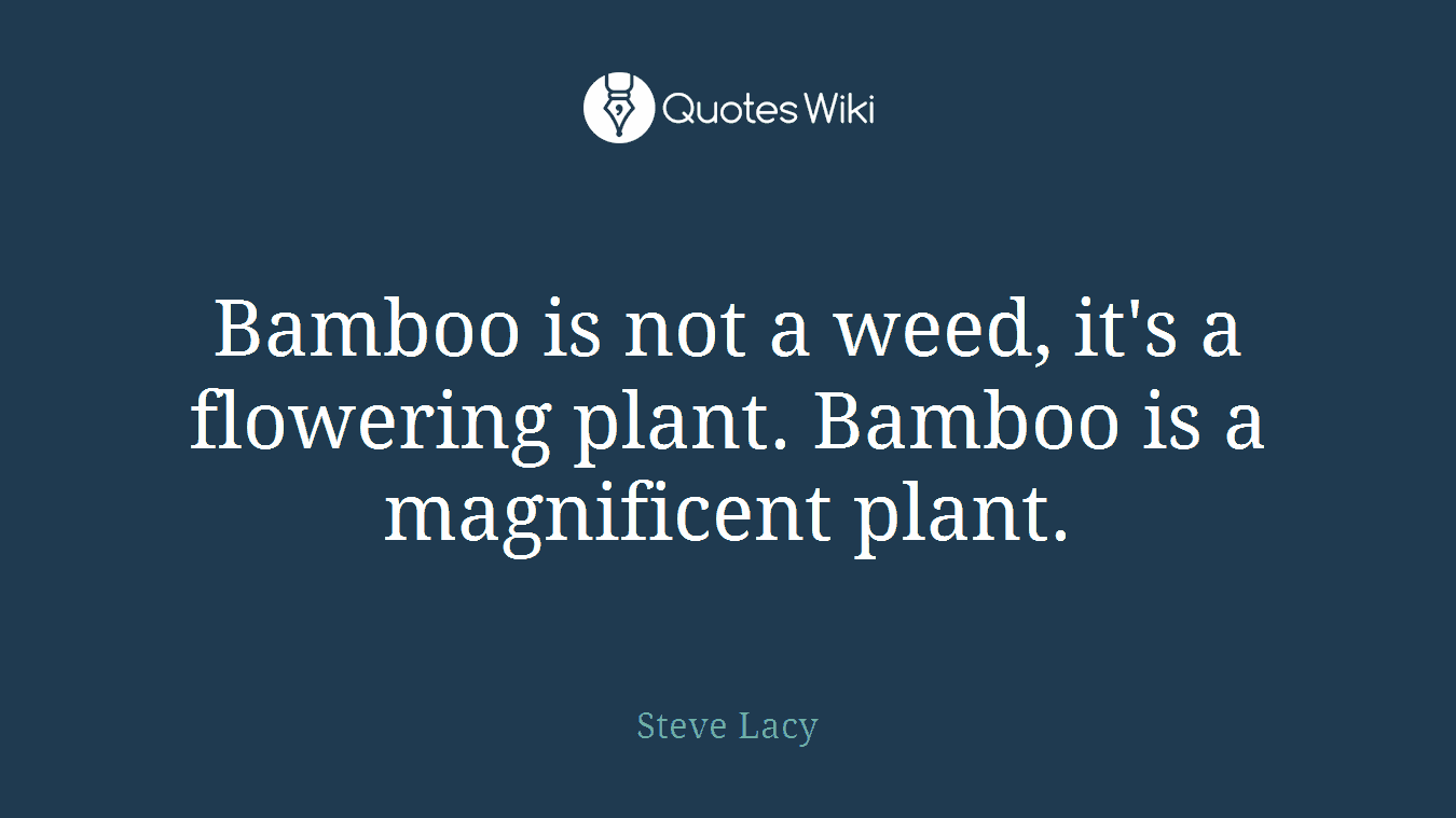 Bamboo is not a weed, it's a flowering plant. Bamboo is a magnificent plant.