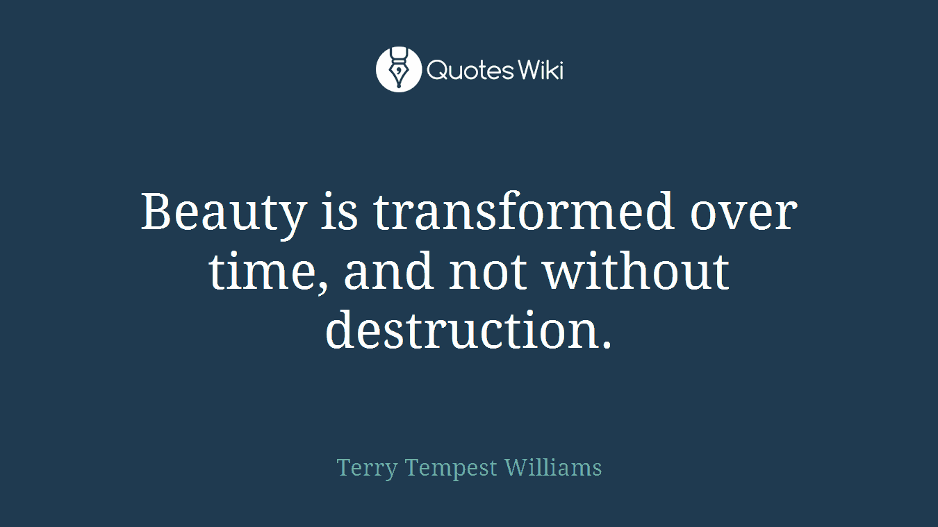 Beauty is transformed over time, and not without destruction.