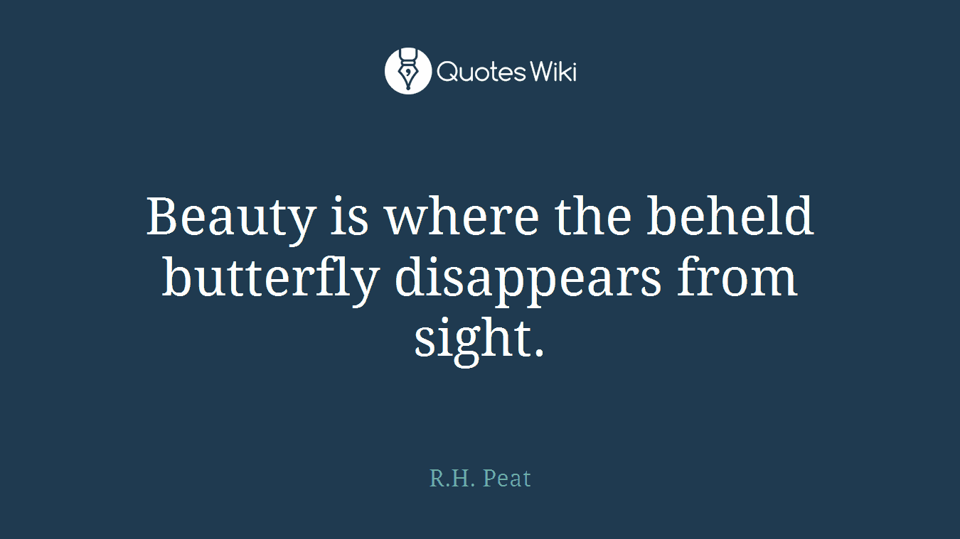 Beauty is where the beheld butterfly disappears from sight.