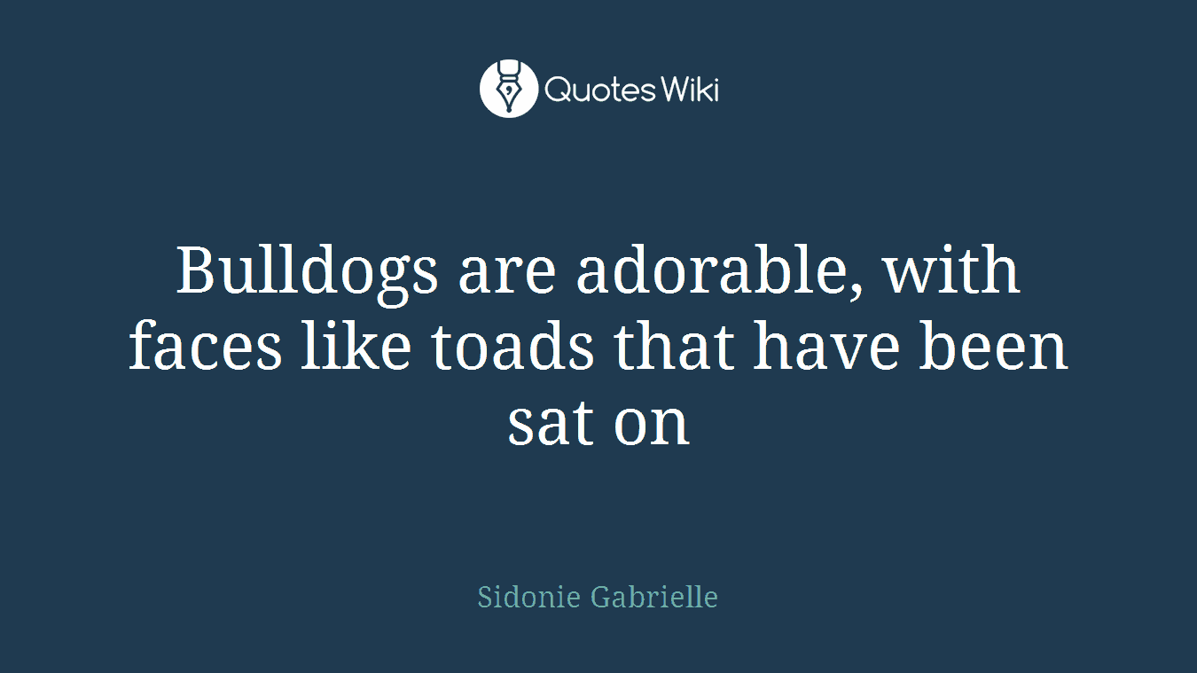 Bulldogs are adorable, with faces like toads that have been sat on