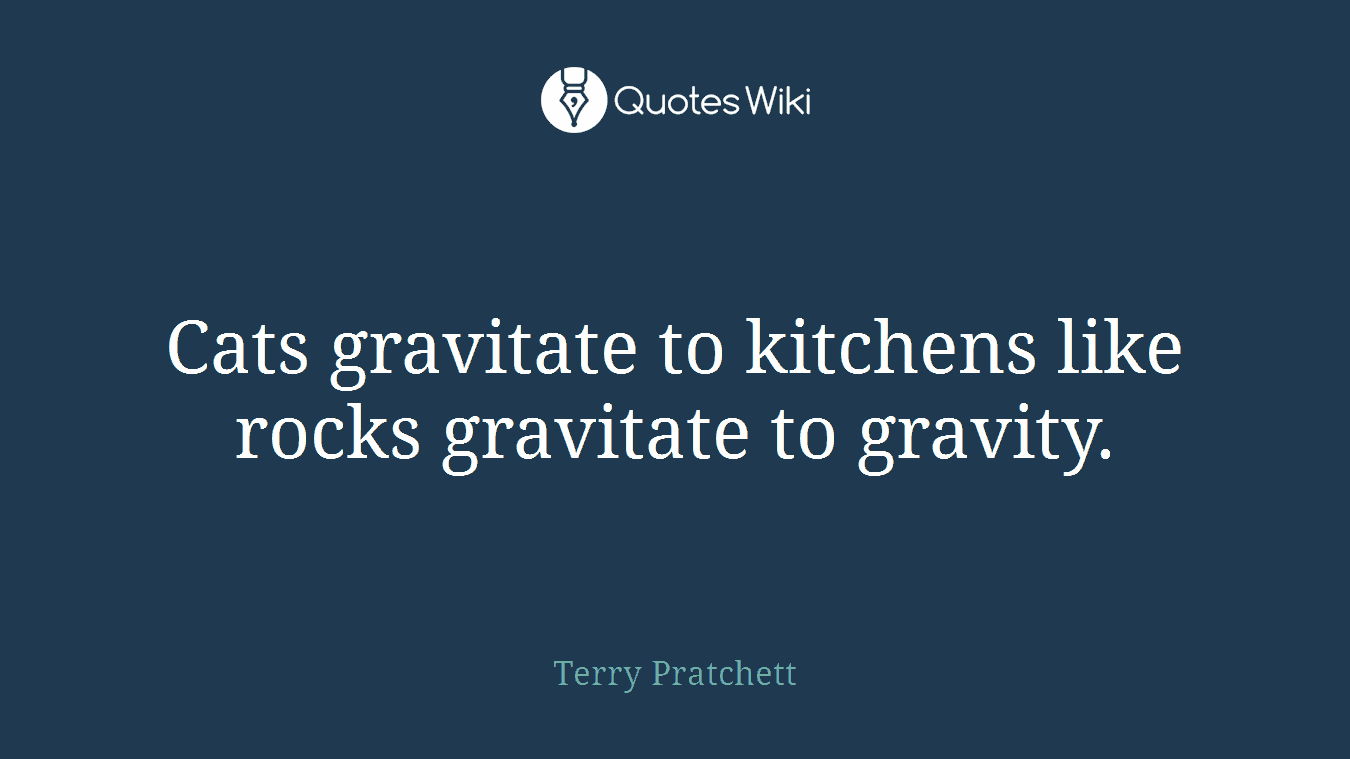 Cats gravitate to kitchens like rocks gravitate to gravity.