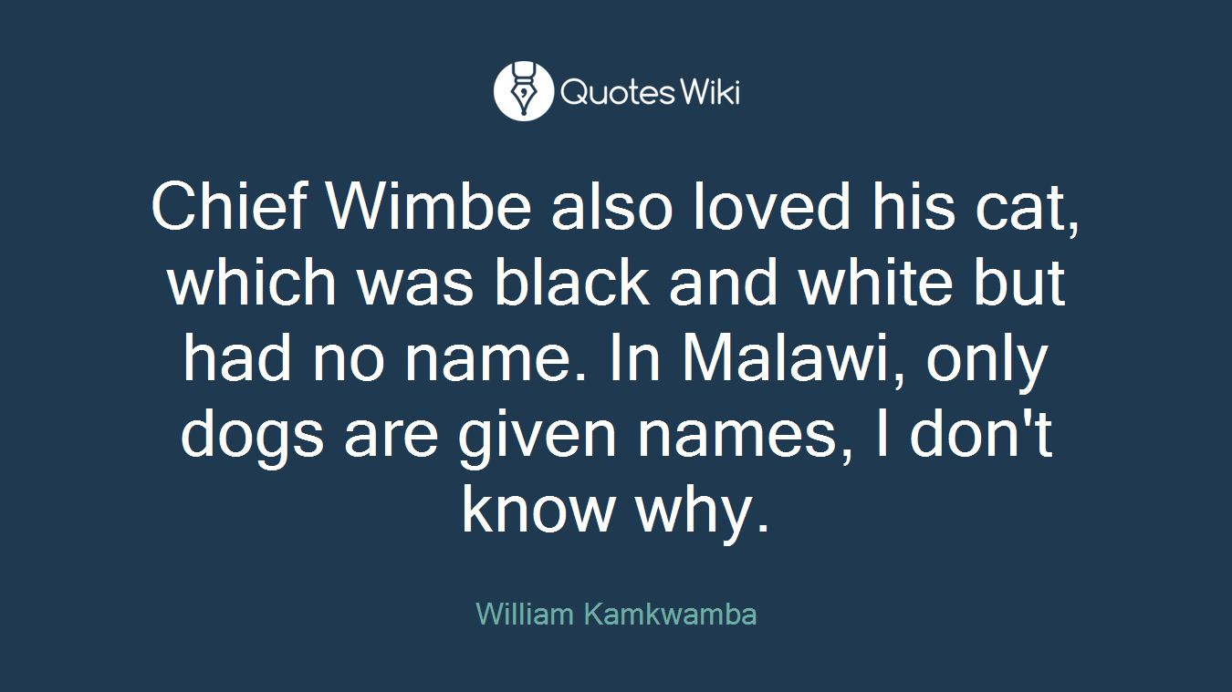 Chief Wimbe also loved his cat, which was black and white but had no name. In Malawi, only dogs are given names, I don't know why.